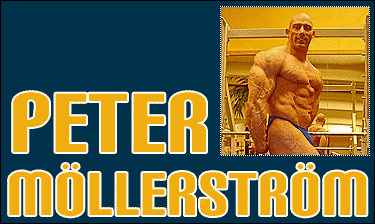 Besk Peter Mllerstrms hemsida